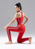 [LUX12] Bộ Đồ Tập Yoga Gym Nữ Cao Cấp AiLALA